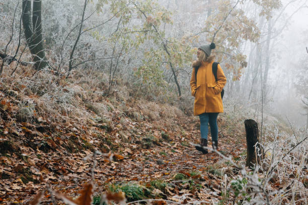 Hiking Late Autumn Early Winter