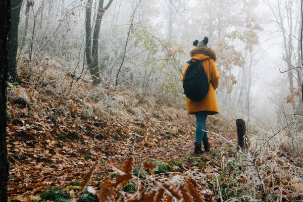 istock Hiking Late Autumn Early Winter 1288479606