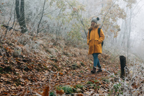 istock Hiking Late Autumn Early Winter 1288482315