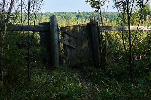 rickety wicket gate in an abandoned wooden village fence