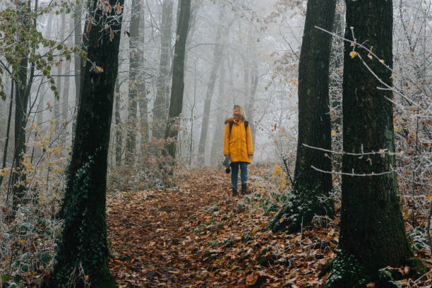 istock Hiking Late Autumn Early Winter 1288485664
