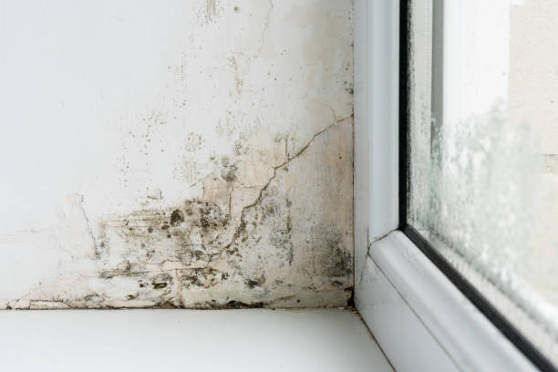 istock Mold in the corner of the plastic windows 1288487636
