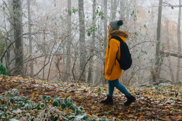 istock Hiking Late Autumn Early Winter 1288487796
