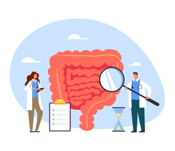 illustrazioni stock, clip art, cartoni animati e icone di tendenza di persone operatori medici infermiere fare medicina diagnostica ricerca intestino. illustrazione di design grafico di cartoni animati piatta vettoriale per la sanità e la medicina - colon