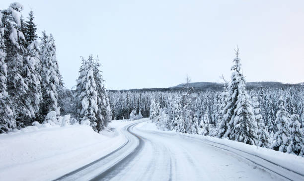 istock Slippery road in January, Oppland Norway 1288488001