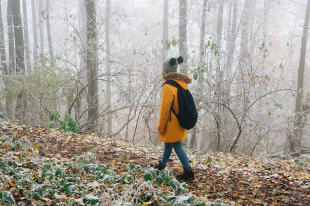 istock Hiking Late Autumn Early Winter 1288488619