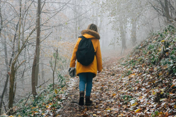 istock Hiking Late Autumn Early Winter 1288492730