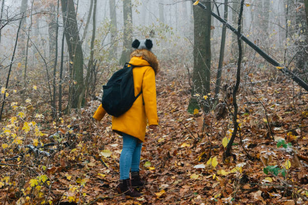 istock Hiking Late Autumn Early Winter 1288494201