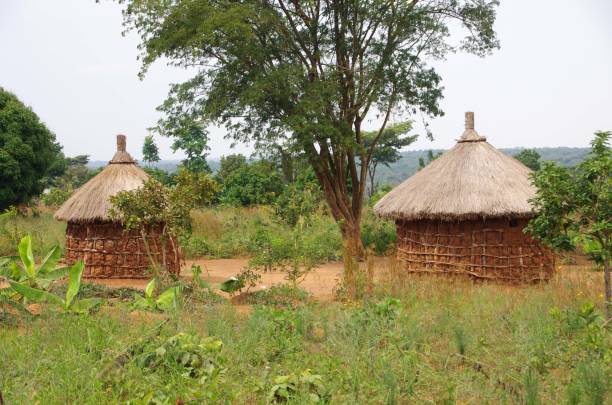 istock Huts in Tanzania 1288495431
