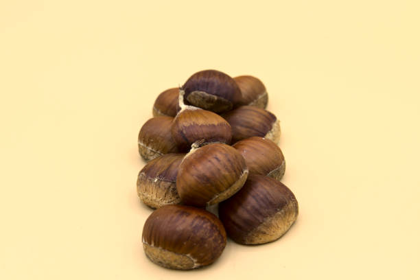 istock In the foreground on a white background a group of chestnuts. 1288495641