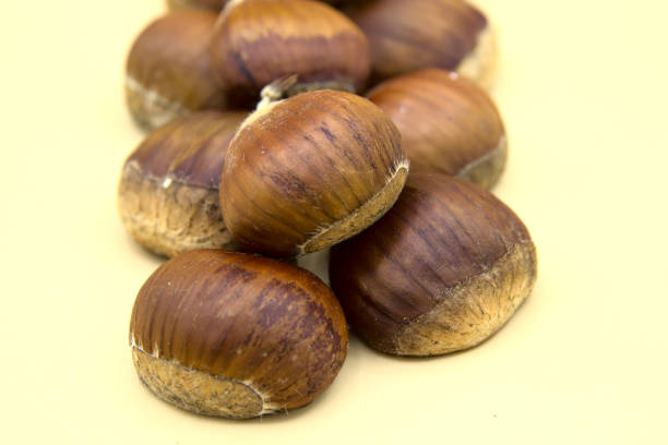istock In the foreground on a white background a group of chestnuts. 1288495703