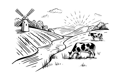 Rural landscape with windmill, cows, wheat fields and river on white background. Countryside hand drawn sketch in cartoon style for ecology and organic agricultural products design. Vector banner