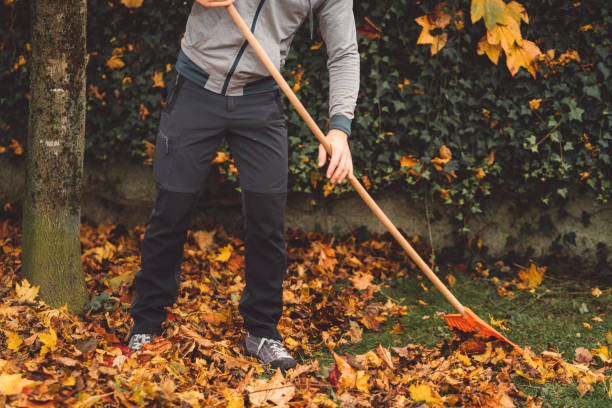 istock Unrecognizable man raking leaves in the backyard 1288509326