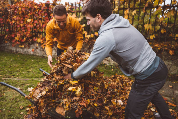 istock Two man loading a wheelbarrow with crispy autumn leaves 1288509424
