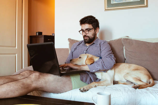 istock Businessman working from home 1288513387