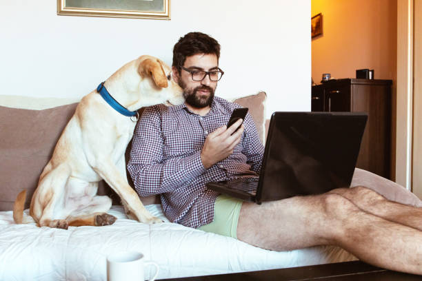 istock Businessman working from home 1288513811