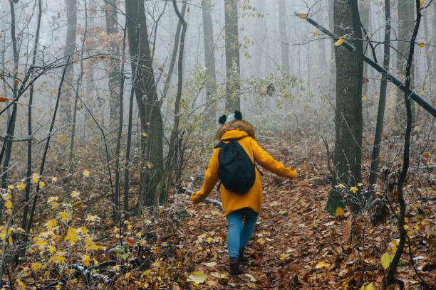 istock Hiking Late Autumn Early Winter 1288514897
