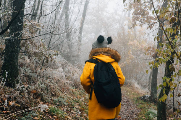 istock Hiking Late Autumn Early Winter 1288516483
