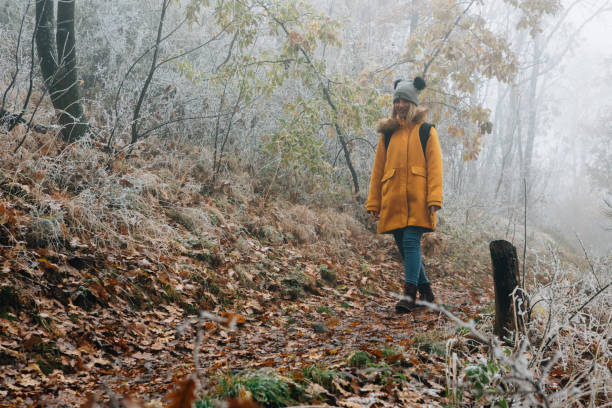 istock Hiking Late Autumn Early Winter 1288519008