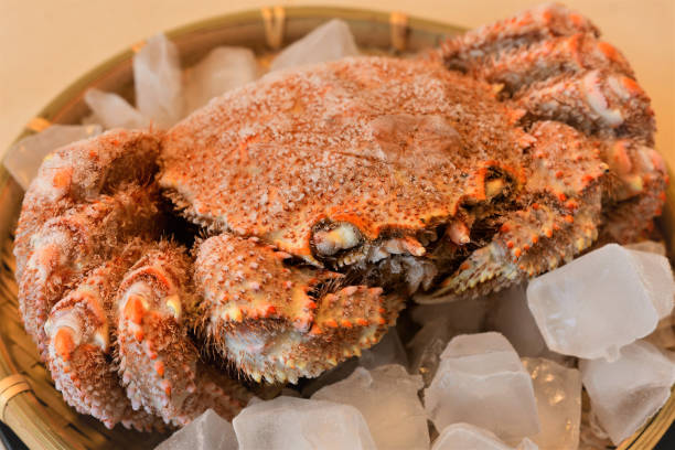 istock Fresh horsehair crab 1288530466