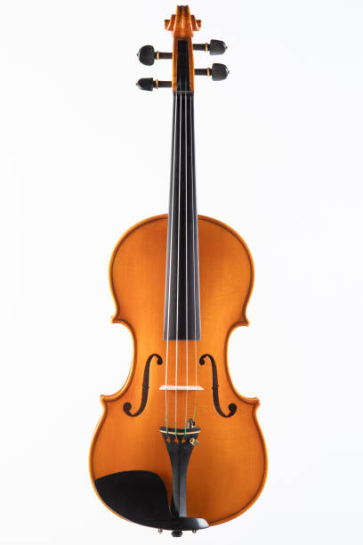 violino primo-up - foto stock