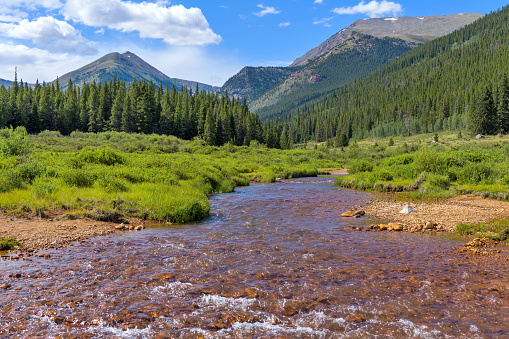 Mineral-rich Geneva Creek running in a lush green valley at base of high peaks of Continental Divide, near Guanella Pass, Grant, Colorado, USA.