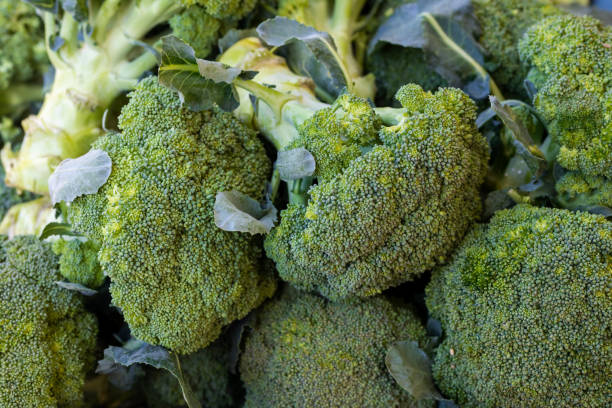 istock Organic Broccoli On Display At Farmers Market 1288537082