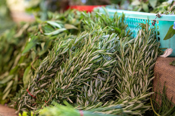 Organic Spring Onions or Shallots On Display At Farmers Market in Australia