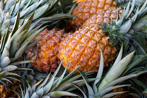Organic Pineapples On Display At Farmers Market in Australia