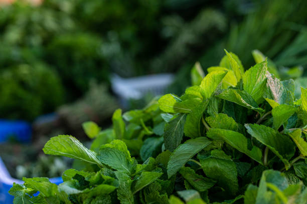 Organic Mint On Display At Farmers Market in Australia