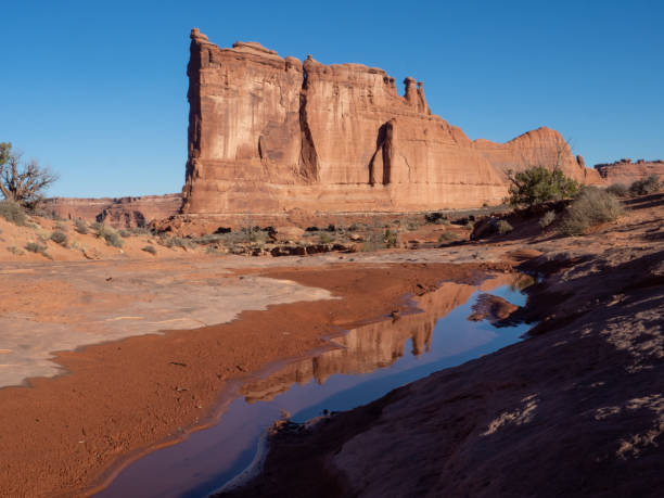 the tower of babel with rippled sand in the foreground - desert the gossips sand rock imagens e fotografias de stock