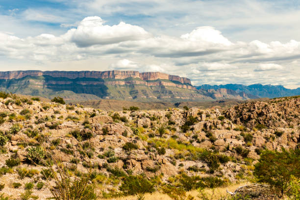 istock Big bend National Park 1288543120