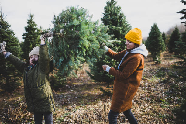 istock Mom and daughter having fun at a Christmas tree farm 1288543616
