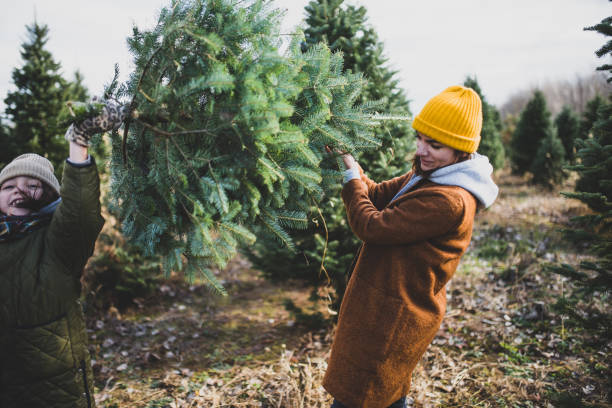 istock Mom and daughter having fun at a Christmas tree farm 1288543790