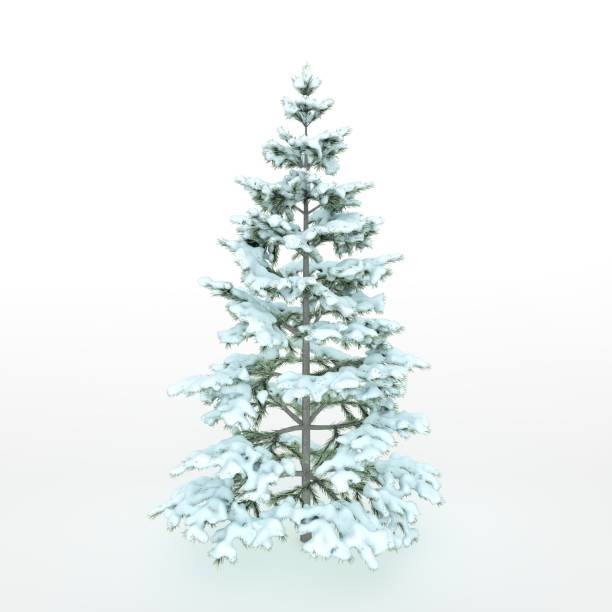 istock Christmas Tree Isolated on White with Snow 1288550684