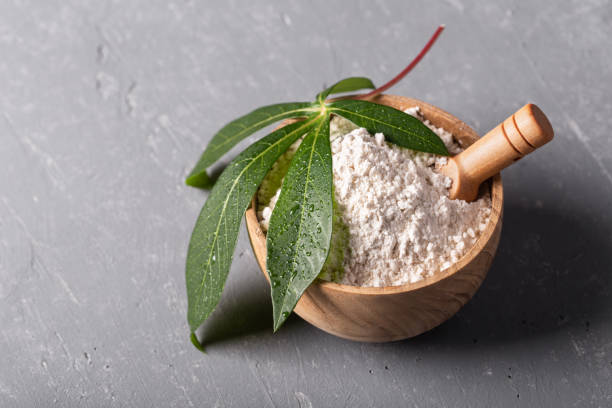 Cassava flour in wooden bowl with original leaf on grey background Cassava flour in wooden bowl with original leaf on grey background copyspace. Alternative gluten free flour. Healthy food. starch grain stock pictures, royalty-free photos & images