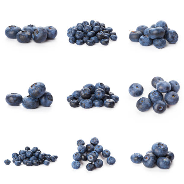 istock Blueberries set isolated on white background. Bilberry. Clipping path. 1288560262