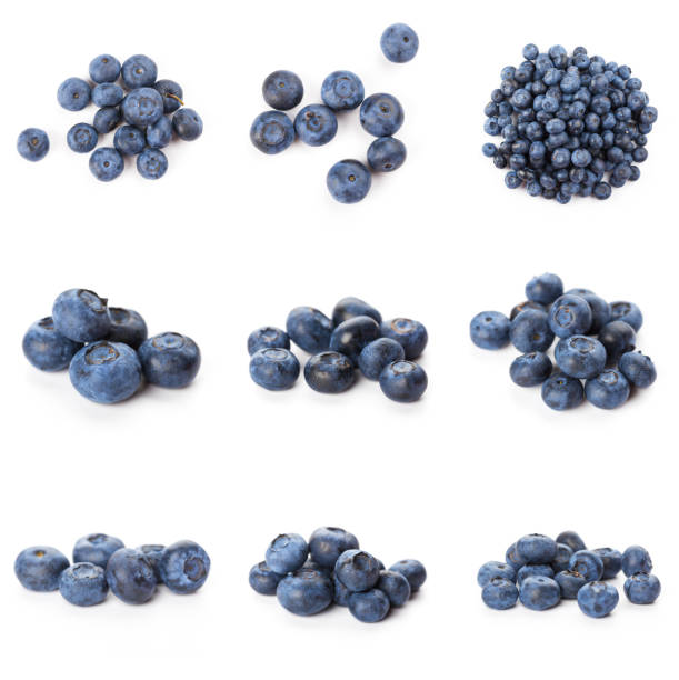 istock Blueberries set isolated on white background. Bilberry. Clipping path. 1288560264