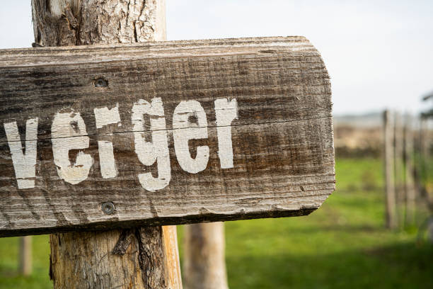 istock Close-up of sign 1288561962