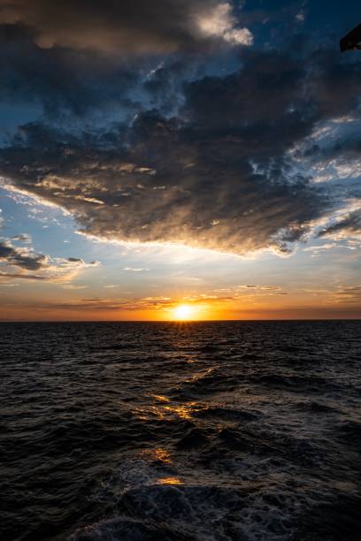 istock Life and dive Baja california 1288562818