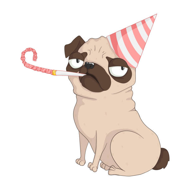 Cute Grumpy Pug Dog With Birthday Cap And Holiday Whistle Vector Hand Drawn  Illustration In Cartoons Style Isolated On White Background Best For Print  Textile Or Web Design - Arte vetorial de