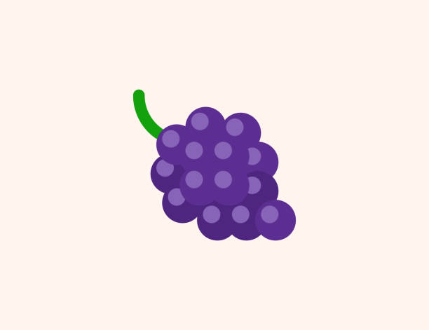 포도 벡터 아이콘입니다. 고립 된 붉은 포도 신선한 과일 플랫 컬러 기호 - 벡터 - red grape stock illustrations