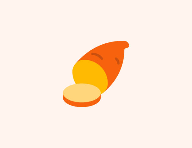 ilustrações, clipart, desenhos animados e ícones de ícone vetorial da batata doce. laranja isolada, batat marrom, batata doce símbolo colorido - vetor - sweet potato