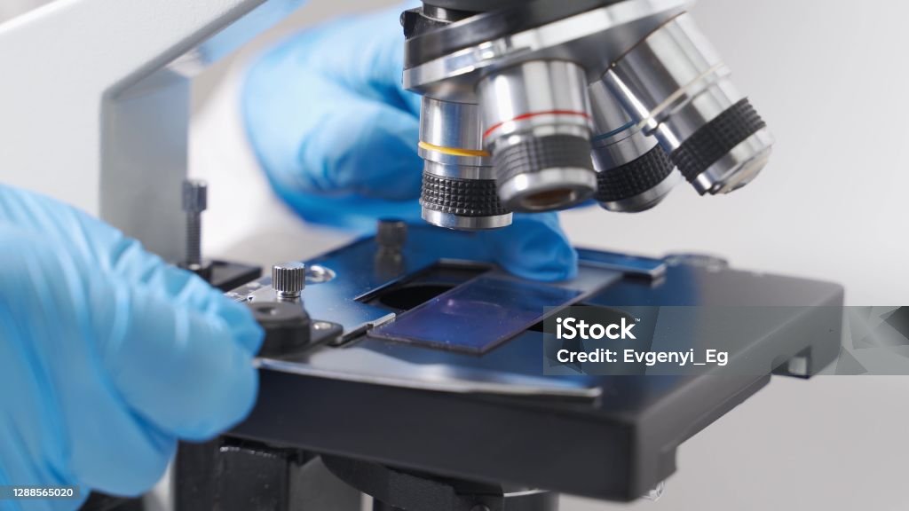 A Modern Microscope In A Sterile Bright Laboratory Room Analyzing Cell ...