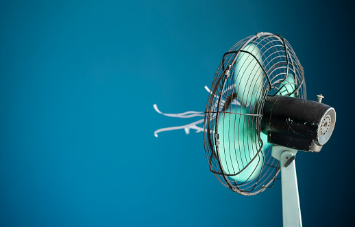 Electric fan with attached streamers