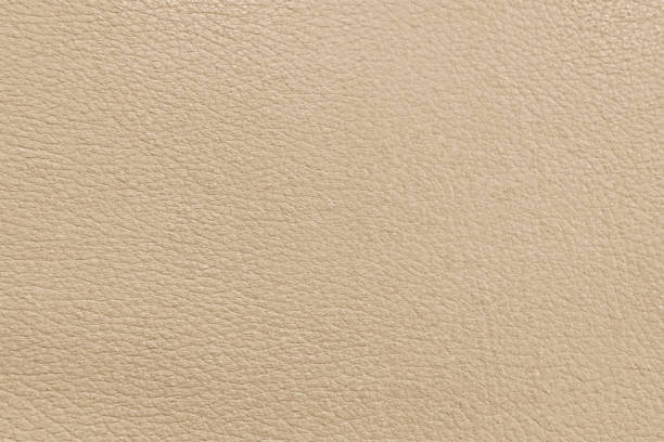 istock The texture of perforated leather. An empty colored surface. Blank for a design or template for a website. 1288567581