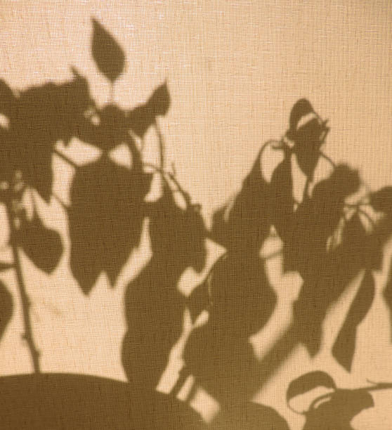 istock Light and shadow sunset on old retro beige fabric texture. Granny's house vintage textile background. Abstract backdrop with floral pattern and crossed lines shadows. 1288569533
