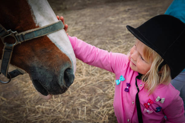 маленькая девочка касаясь большой лошади на ферме - horse child pony little girls стоковые фото и изображения