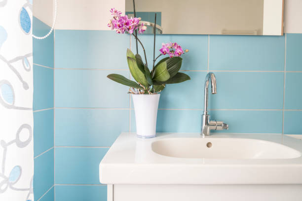 blue bathroom in a modern house