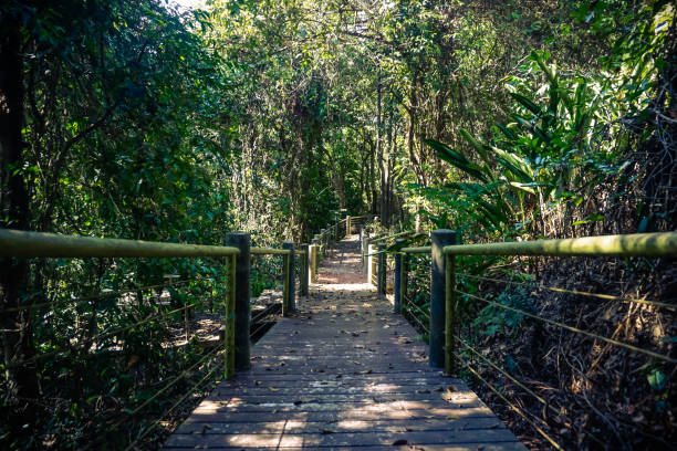 istock Old overgrown trail in Phuket in Thailand 1288576823